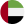 UAE Flag